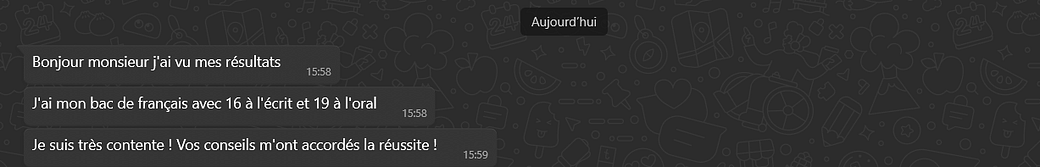 Capture d’écran 2024-07-12 165817