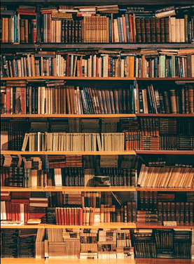 Capture d’écran 2024-10-27 175531